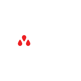 maxwell