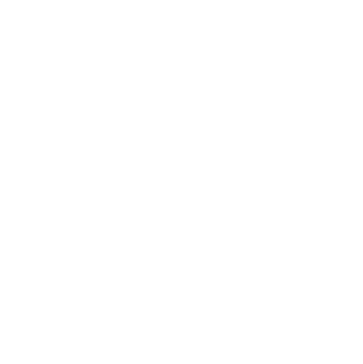 sokolik